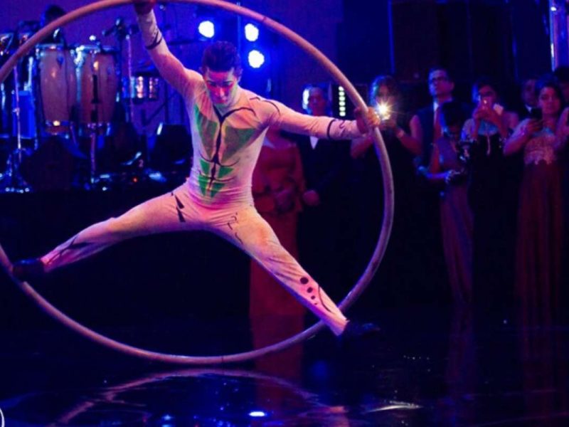 Cyr Wheel Show