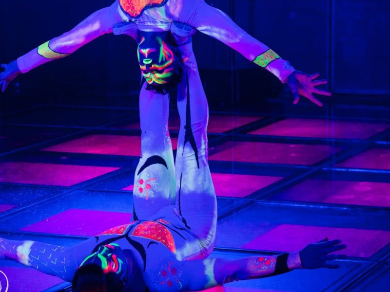Show de Acrobacias "Fiesta Neón"