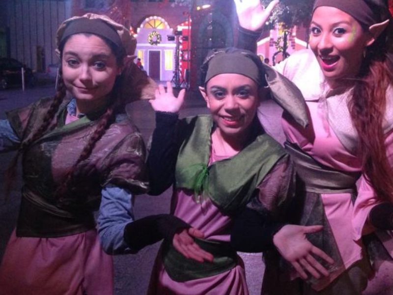 Show Santa, Grinch y Duendes