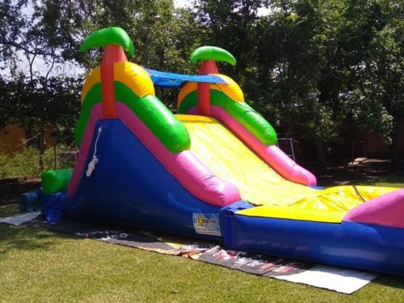 Renta de Inflable Palmeras Mediano