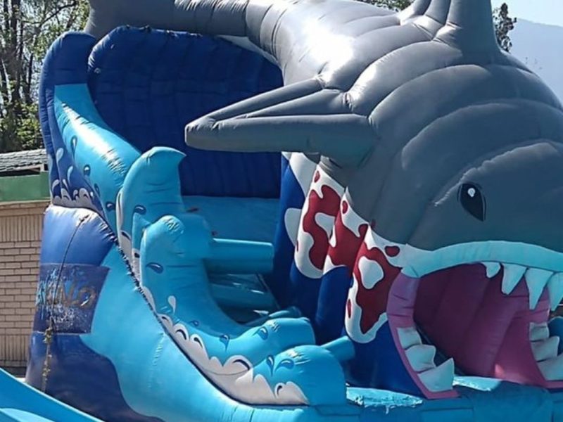 Renta de Inflable Shark Gris