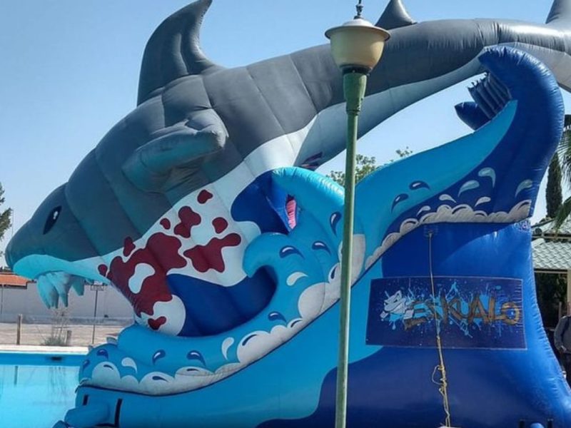 Renta de Inflable Shark Gris