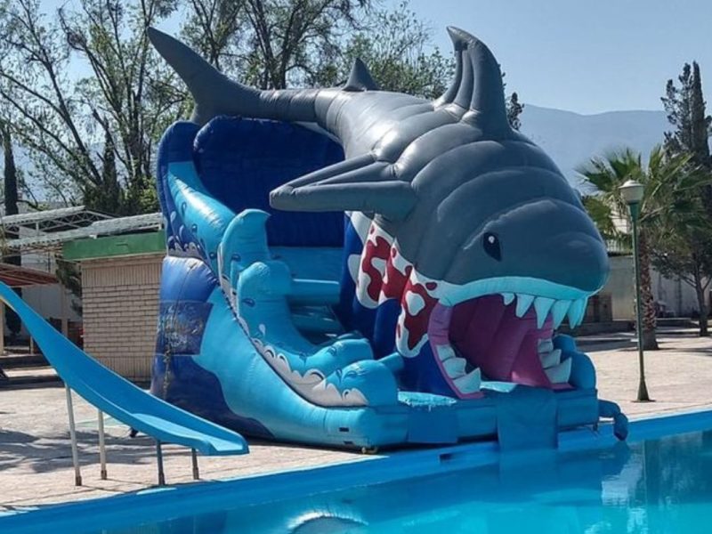 Renta de Inflable Shark Gris