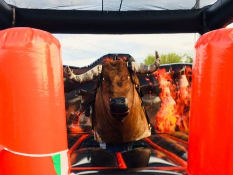 Renta de Toro Mecánico con Techo