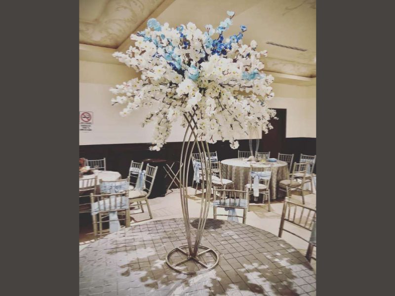 Europa Eventos - Salón Europa 2