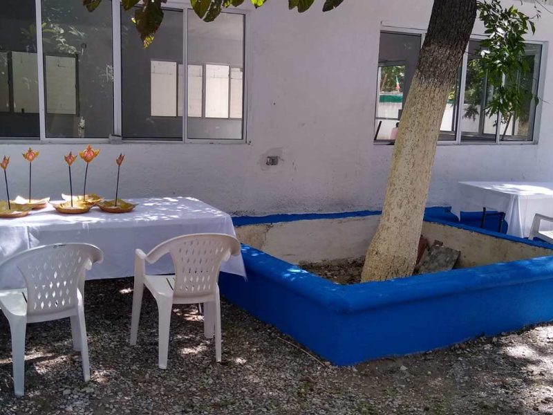 Quinta Elina