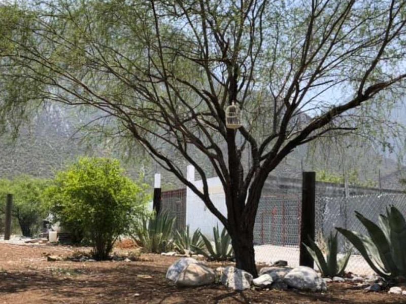 Quinta Capuchino