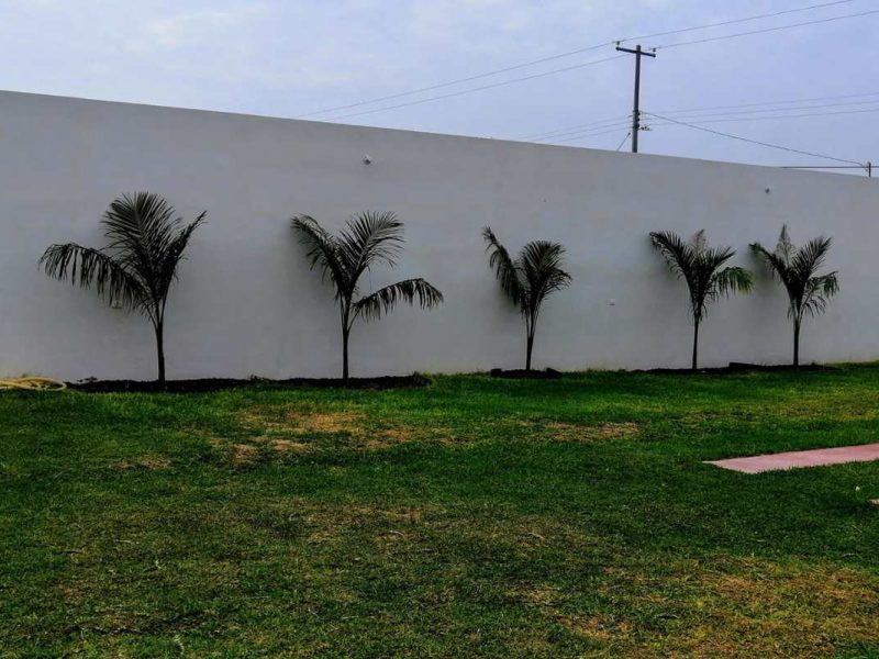 Quinta El Palmar