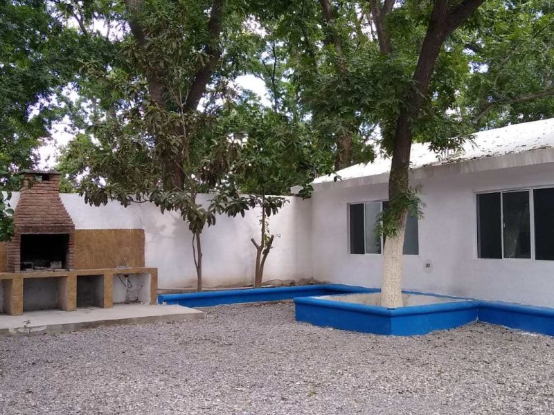 Quinta Elina