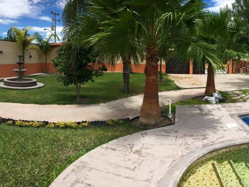 Quinta las Palmas - Ciénega