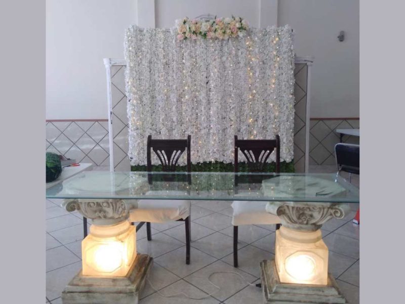 Recepciones Villa Palacio