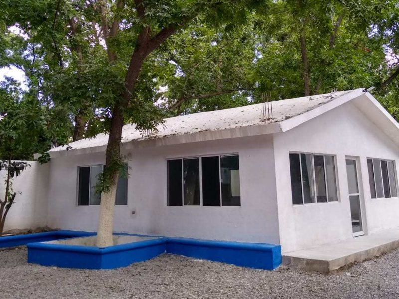 Quinta Elina