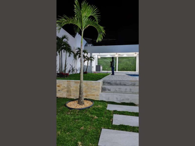 Quinta Danae