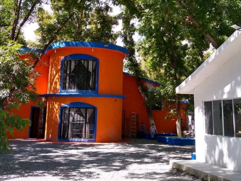 Quinta Elina