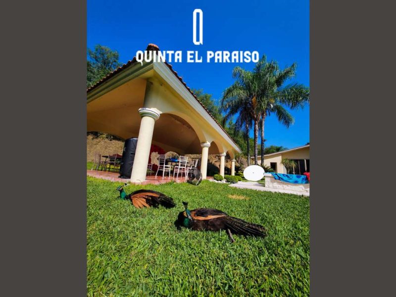 Quinta el Paraíso Allende