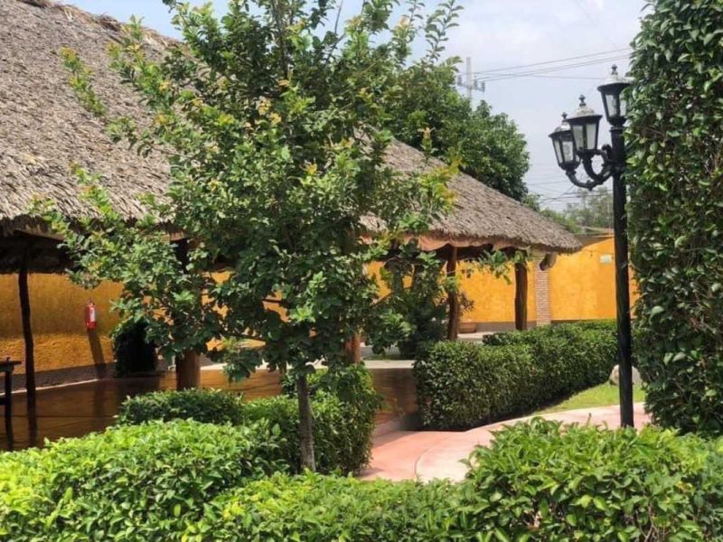 La Palapa del Tío