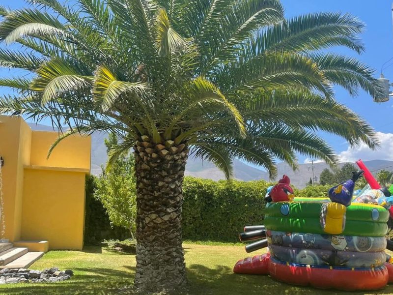 Quinta Boreal