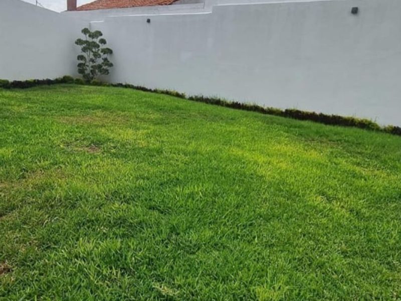 Quinta Monarca