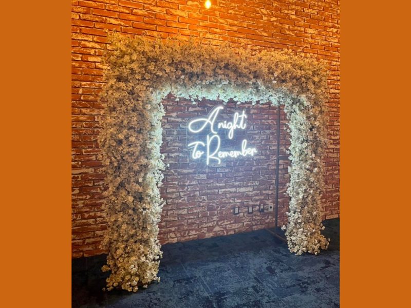 Backdrops en Renta