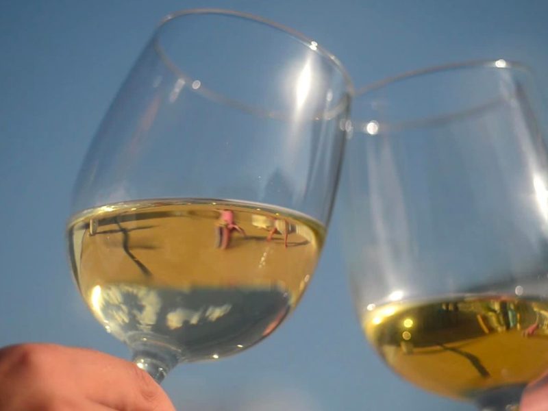 Renta para Copa de Agua o Vino Tinto