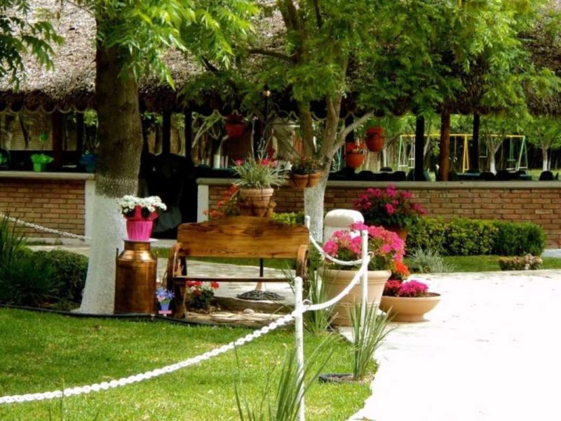 Palapa JDF
