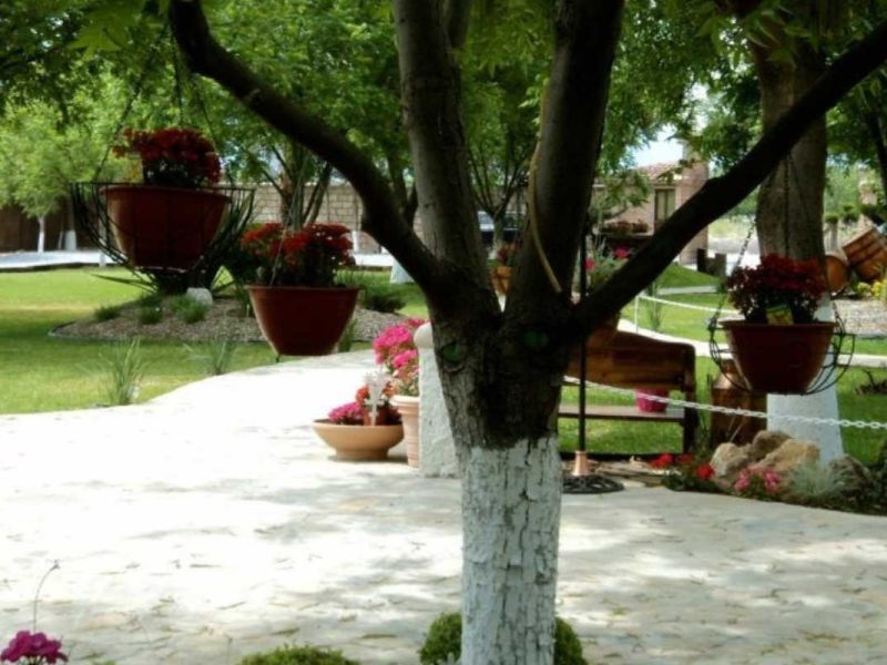 Palapa JDF