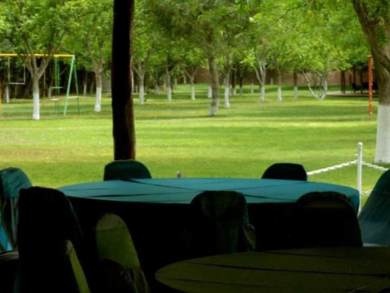 Palapa JDF