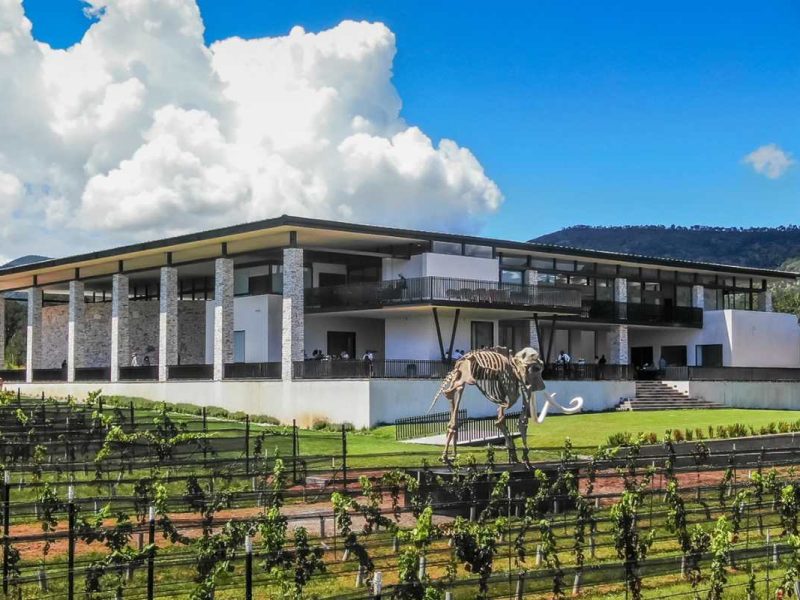 Bodega los Cedros