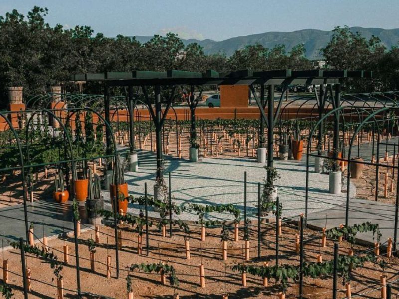 Hacienda El Secreto