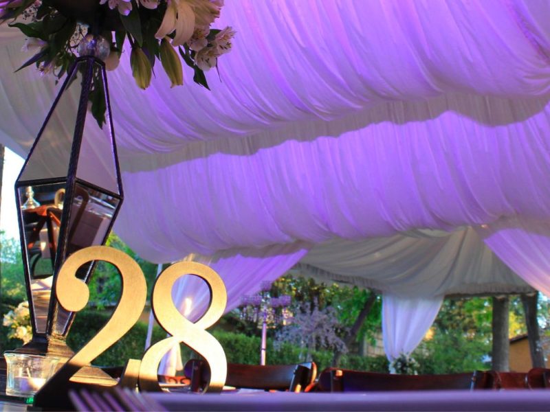 Renta de Letras Gigantes Decorativas