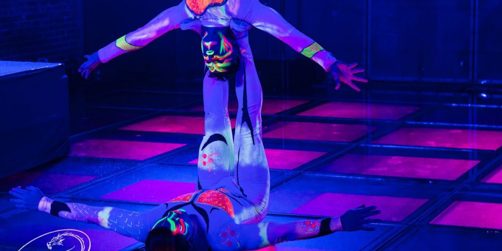 Show de Acrobacias "Fiesta Neón"