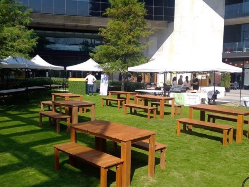 Set Mesa Picnic