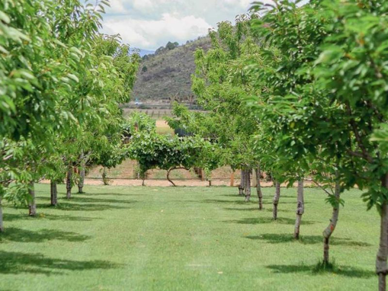 Bodegas del Viento