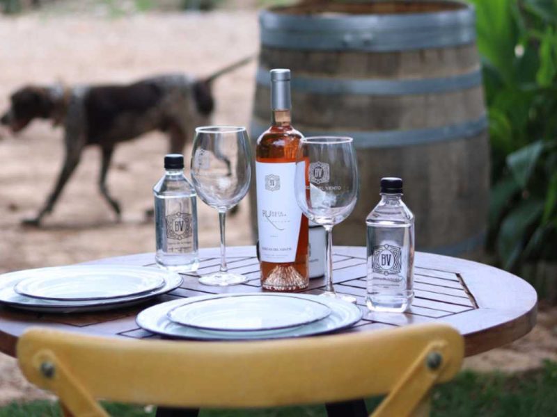 Bodegas del Viento