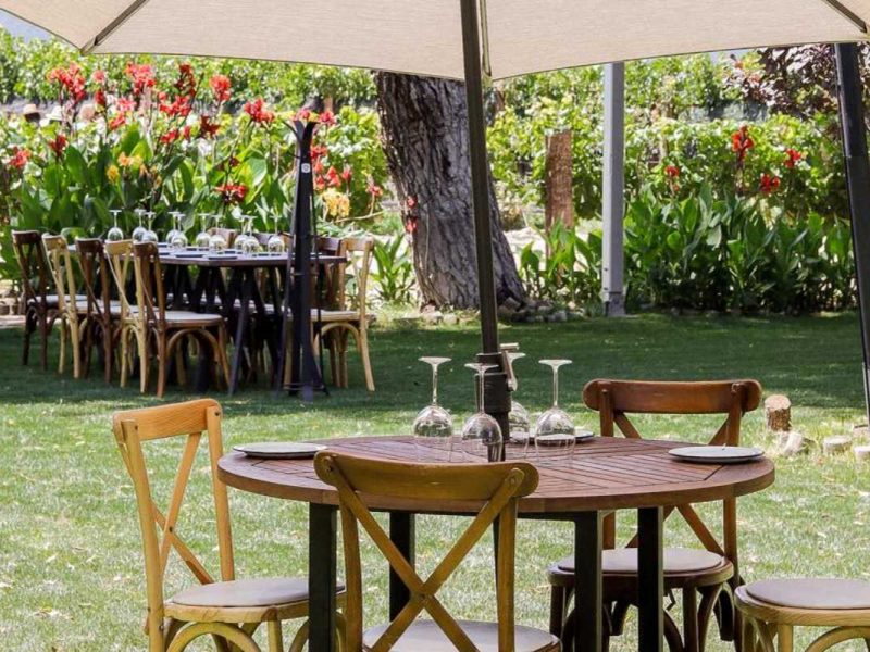 Bodegas del Viento