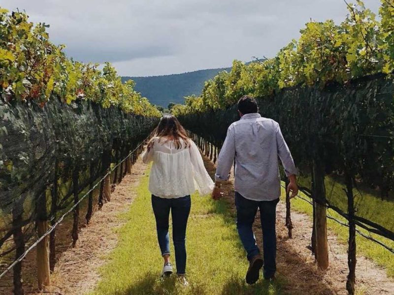 Bodegas del Viento