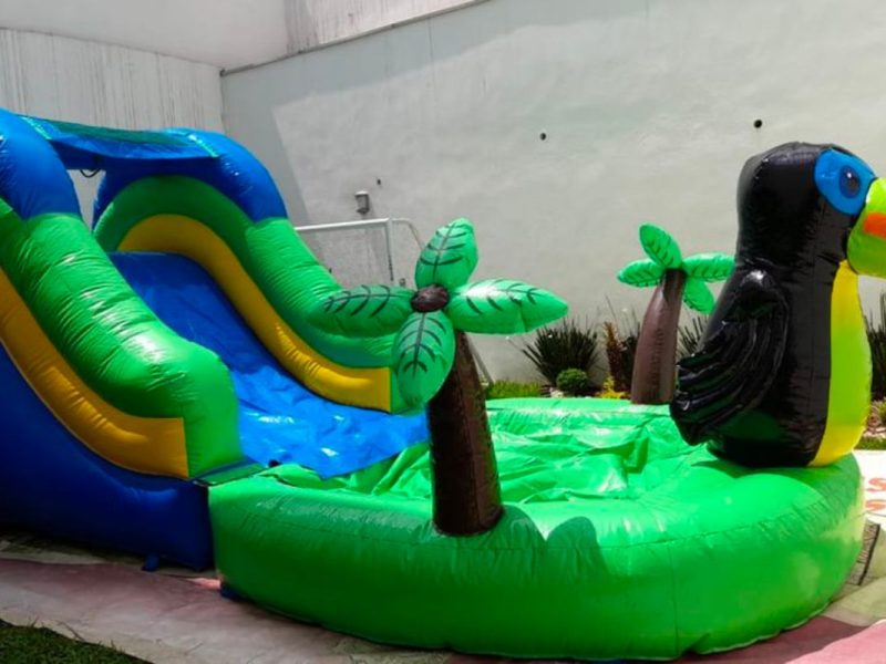 Renta de Inflable "El Tucanzito"