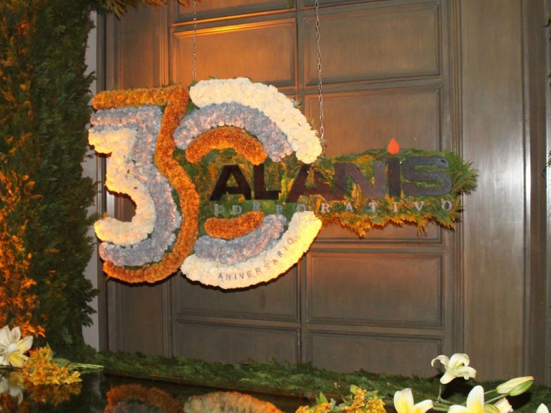 Paquete Decoración