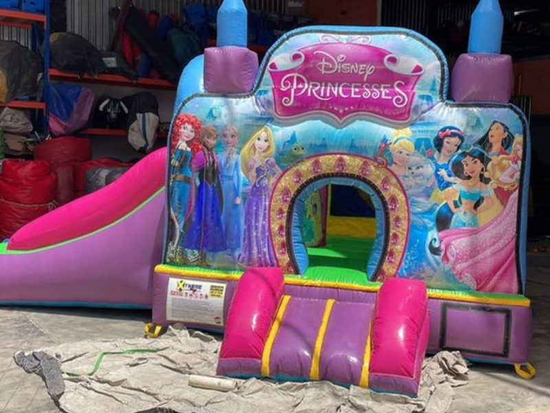 Renta de Inflable con varias temáticas para niñas