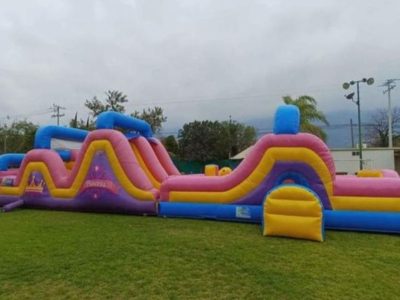 Renta de Inflable Dinámico rosa