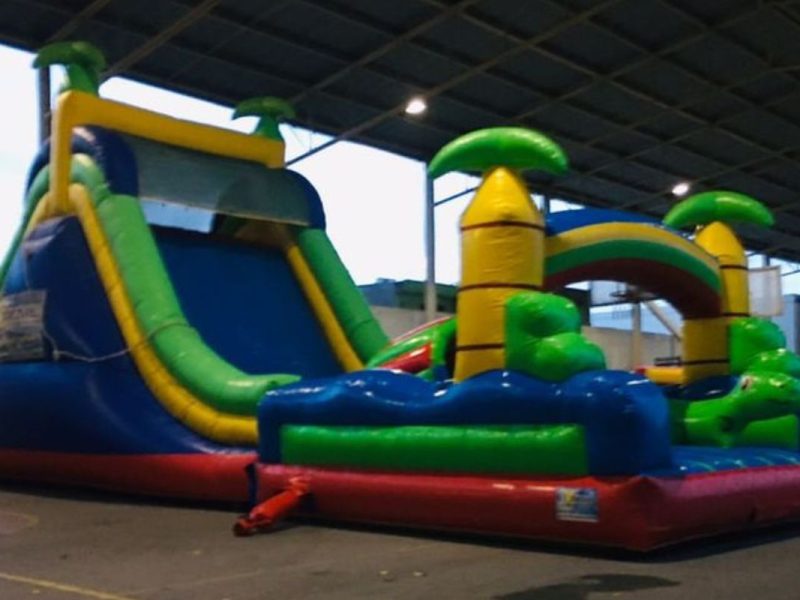 Renta de Inflable Interactivo Jurásico palmeras