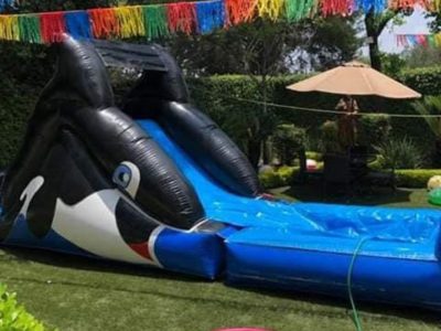 Renta de Inflables Mini acuáticos