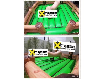 Renta de Inflable El P3n3 Mecánico