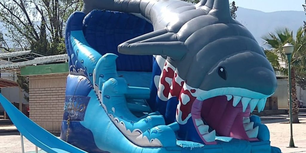 Renta de Inflable Shark Gris