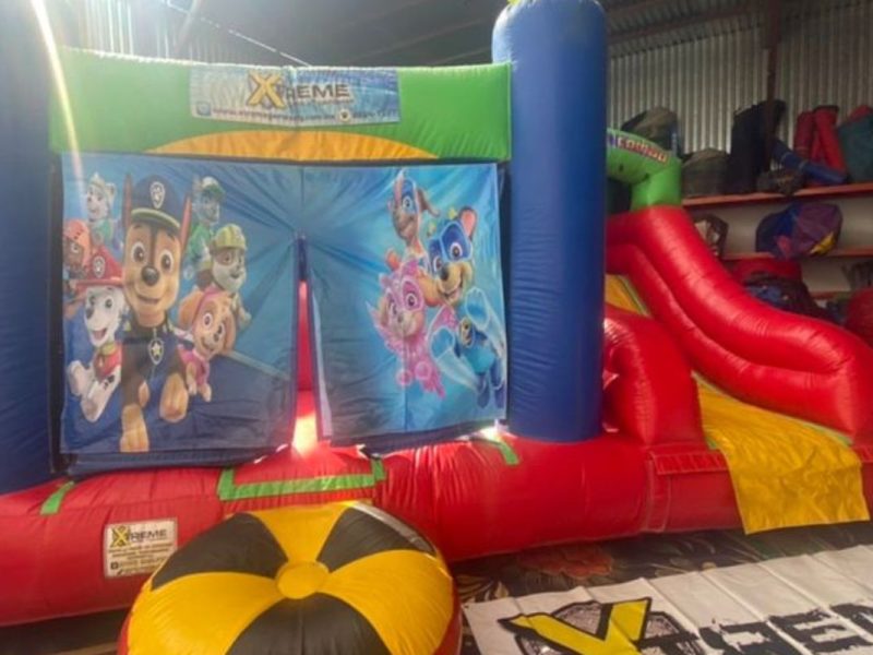 Renta de Inflable Varios personajes