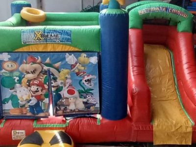 Renta de Inflable Varios personajes