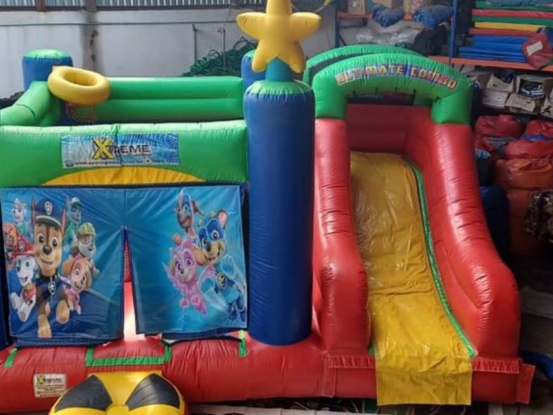 Renta de Inflable Varios personajes