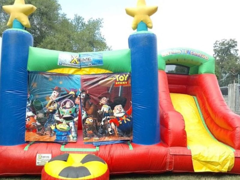 Renta de Inflable Varios personajes