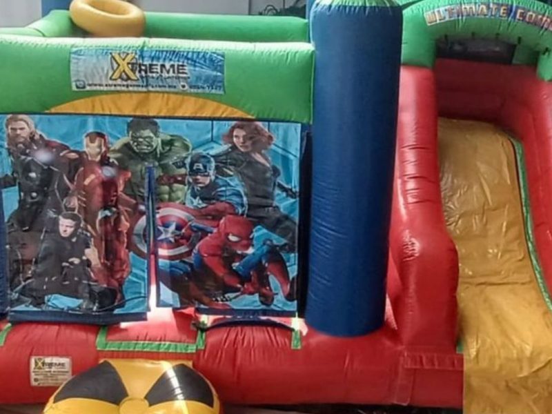 Renta de Inflable Varios personajes