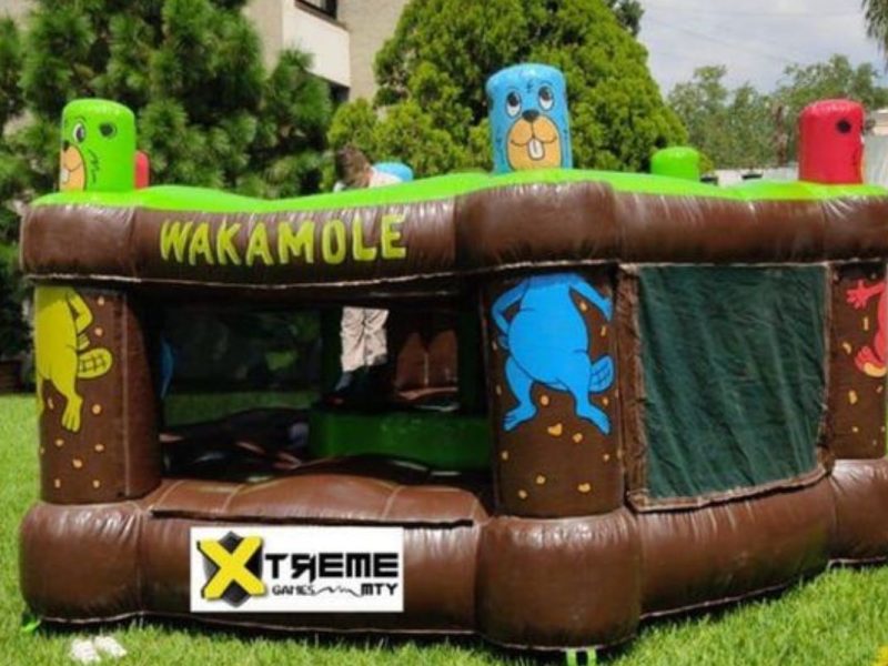 Renta de Juego Waka-Mole